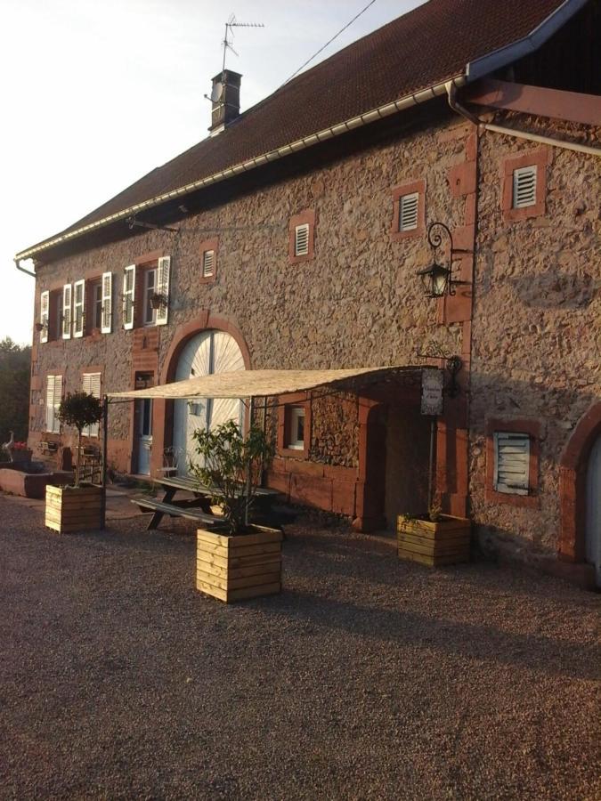 Gite Ferme La Rosee Blanche Laveline Kültér fotó