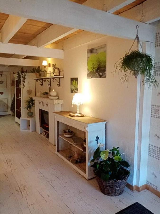 Gite Ferme La Rosee Blanche Laveline Kültér fotó