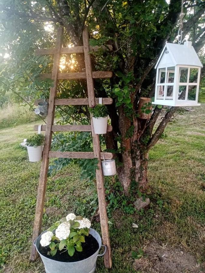 Gite Ferme La Rosee Blanche Laveline Kültér fotó